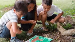 How to Teach Sustainability and Environmental Awareness in Schools